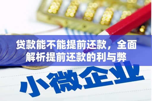 磁县贷款能不能提前还款，全面解析提前还款的利与弊