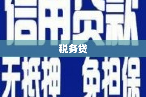 磁县税务贷