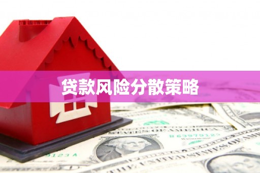 磁县贷款风险分散策略