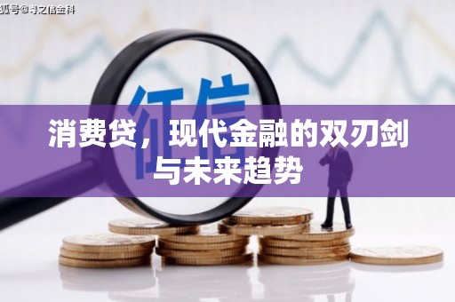 磁县消费贷，现代金融的双刃剑与未来趋势