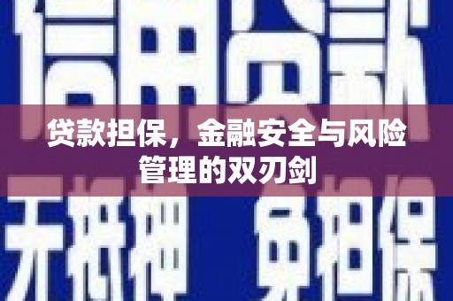 磁县贷款担保，金融安全与风险管理的双刃剑