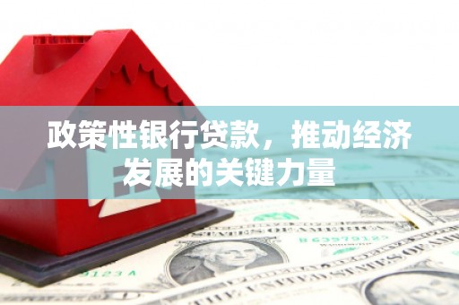 磁县政策性银行贷款，推动经济发展的关键力量