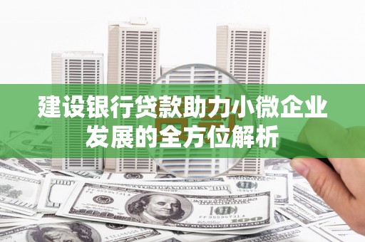 磁县建设银行贷款助力小微企业发展的全方位解析