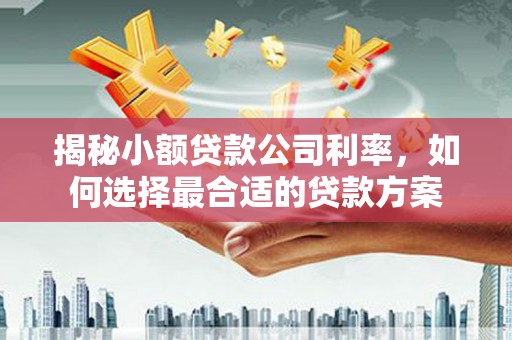 磁县揭秘小额贷款公司利率，如何选择最合适的贷款方案