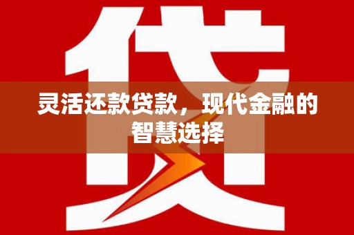磁县灵活还款贷款，现代金融的智慧选择