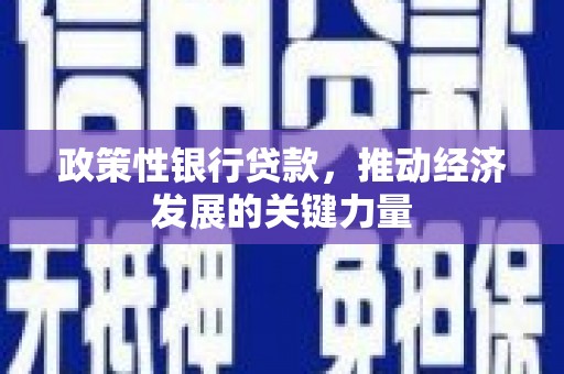 磁县政策性银行贷款，推动经济发展的关键力量