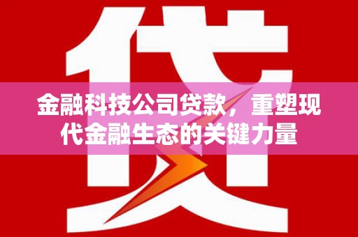 磁县金融科技公司贷款，重塑现代金融生态的关键力量