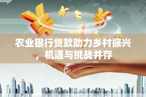 磁县农业银行贷款助力乡村振兴，机遇与挑战并存