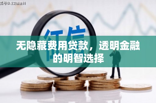 磁县无隐藏费用贷款，透明金融的明智选择