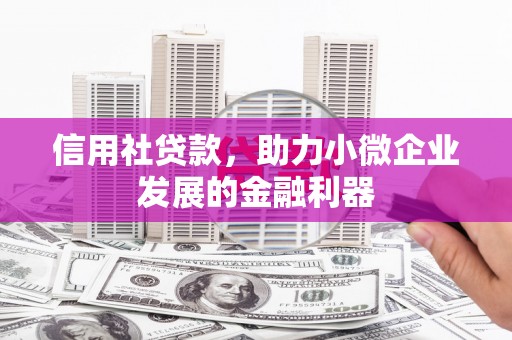 磁县信用社贷款，助力小微企业发展的金融利器