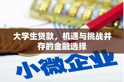 磁县大学生贷款，机遇与挑战并存的金融选择