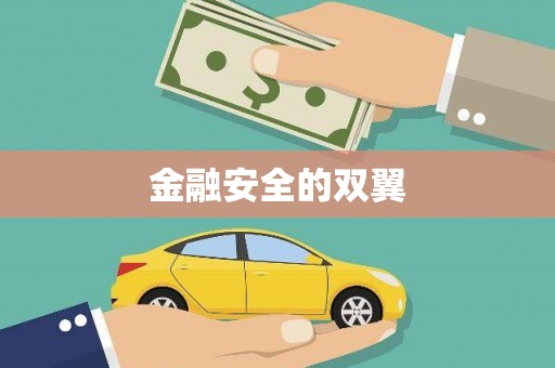 磁县金融安全的双翼