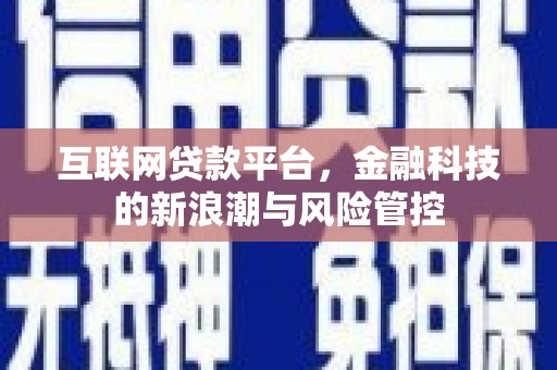 磁县互联网贷款平台，金融科技的新浪潮与风险管控