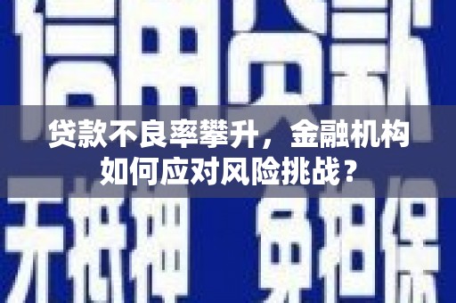 磁县贷款不良率攀升，金融机构如何应对风险挑战？