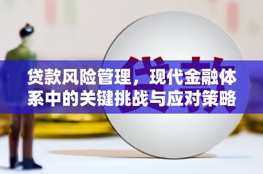 磁县贷款风险管理，现代金融体系中的关键挑战与应对策略