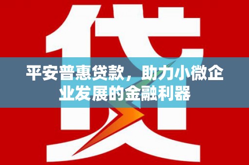 磁县平安普惠贷款，助力小微企业发展的金融利器