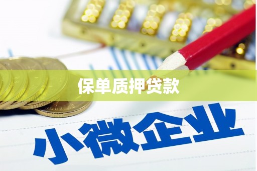 磁县保单质押贷款