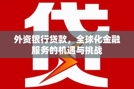 磁县外资银行贷款，全球化金融服务的机遇与挑战