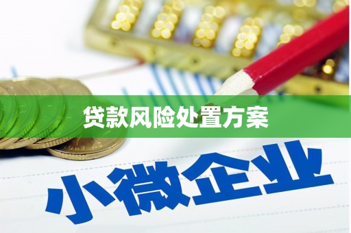 磁县贷款风险处置方案