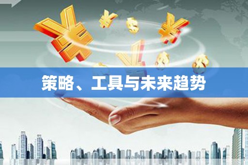 磁县策略、工具与未来趋势