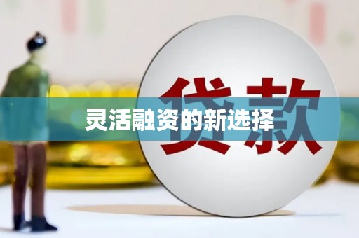 磁县灵活融资的新选择