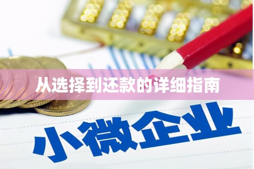 磁县从选择到还款的详细指南