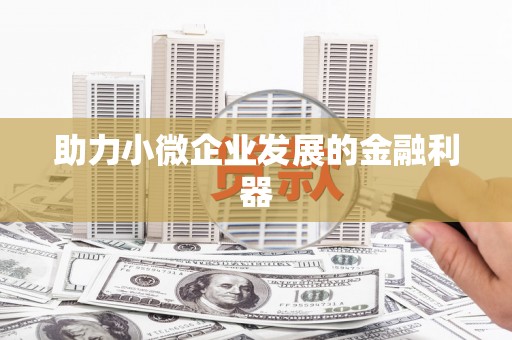 磁县助力小微企业发展的金融利器
