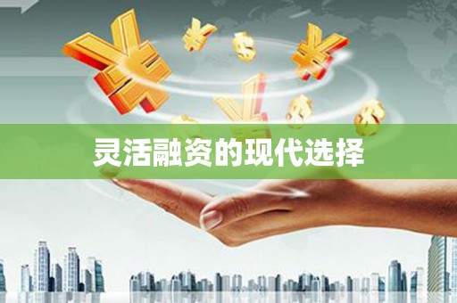 磁县灵活融资的现代选择