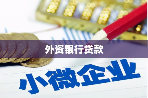 磁县外资银行贷款