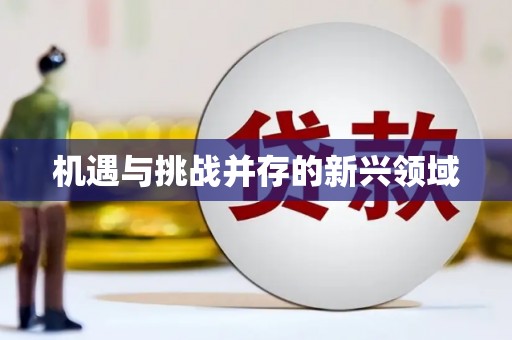 磁县机遇与挑战并存的新兴领域