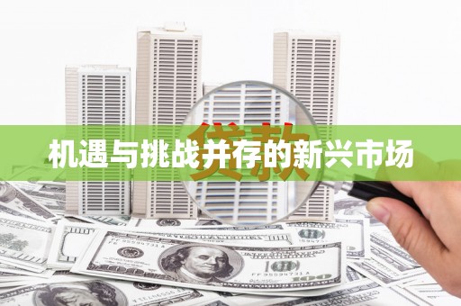 磁县机遇与挑战并存的新兴市场