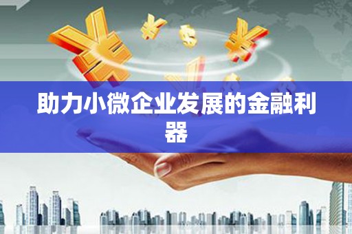 磁县助力小微企业发展的金融利器