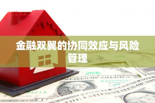 磁县金融双翼的协同效应与风险管理