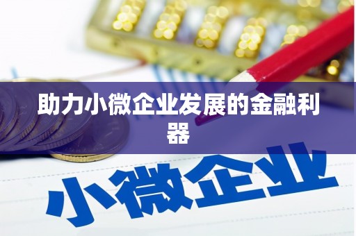 磁县助力小微企业发展的金融利器