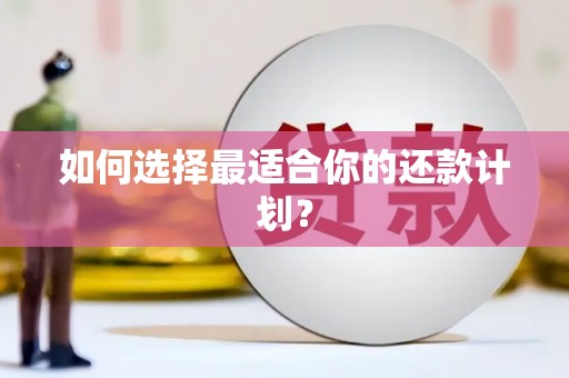 磁县如何选择最适合你的还款计划？