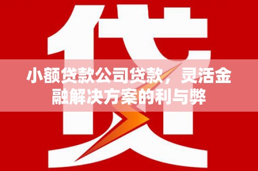 磁县小额贷款公司贷款，灵活金融解决方案的利与弊