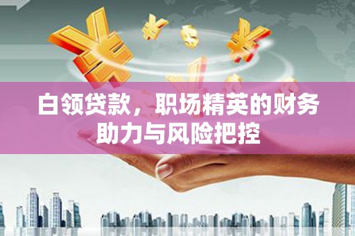 磁县白领贷款，职场精英的财务助力与风险把控