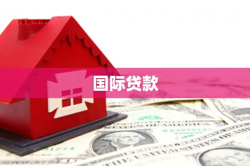 磁县国际贷款